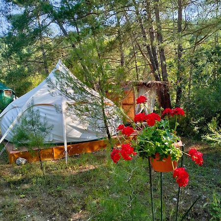 Vinsan Glamping & Wellness Centre Eleousa Exterior foto