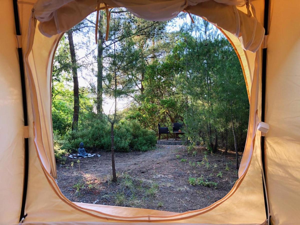 Vinsan Glamping & Wellness Centre Eleousa Exterior foto