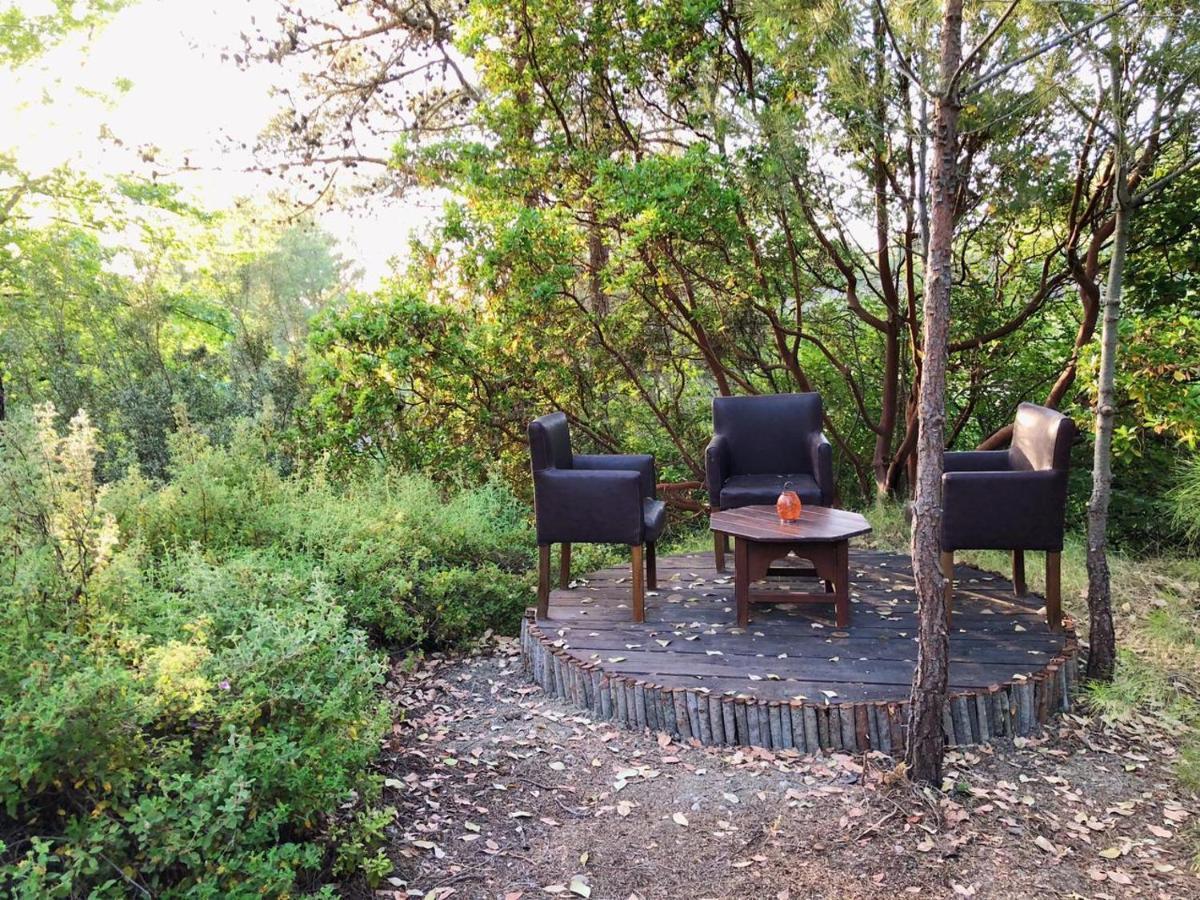 Vinsan Glamping & Wellness Centre Eleousa Exterior foto
