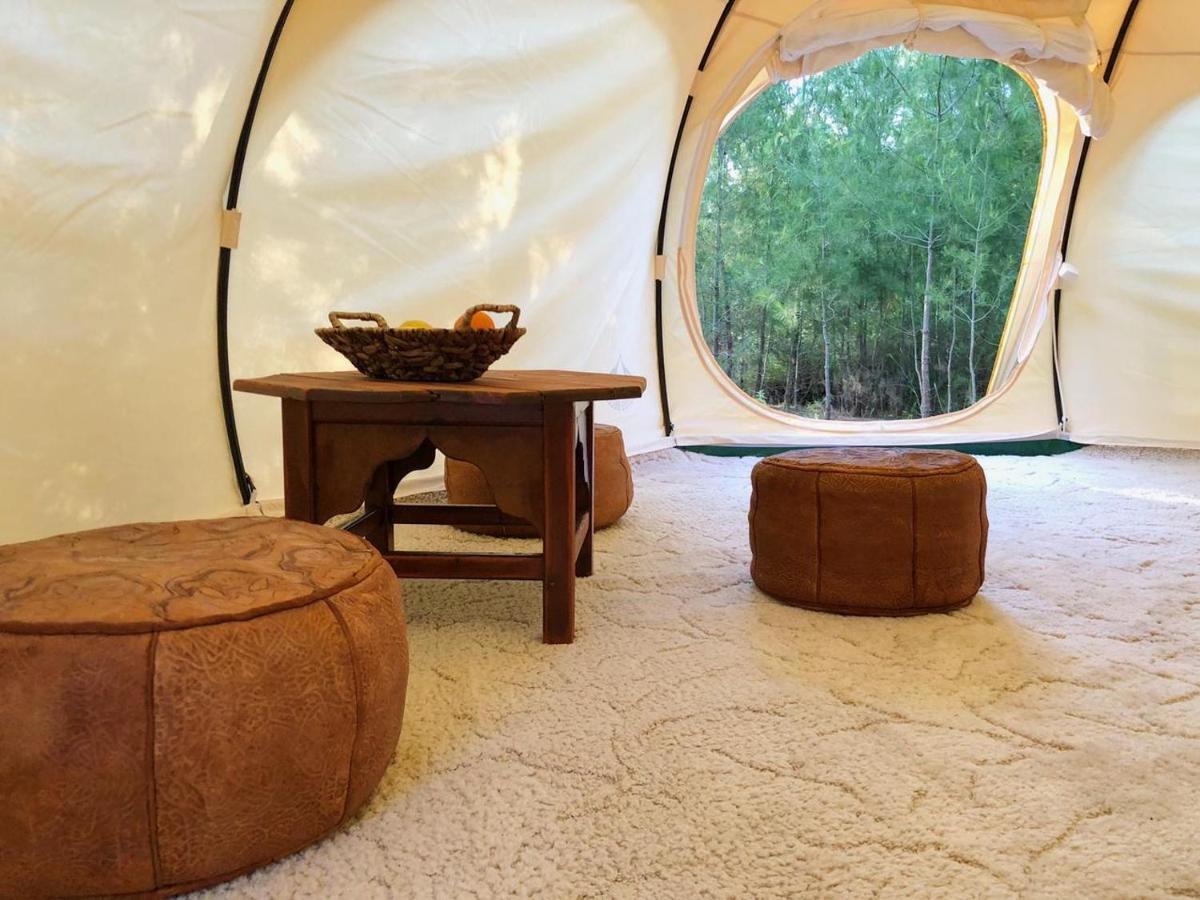 Vinsan Glamping & Wellness Centre Eleousa Exterior foto