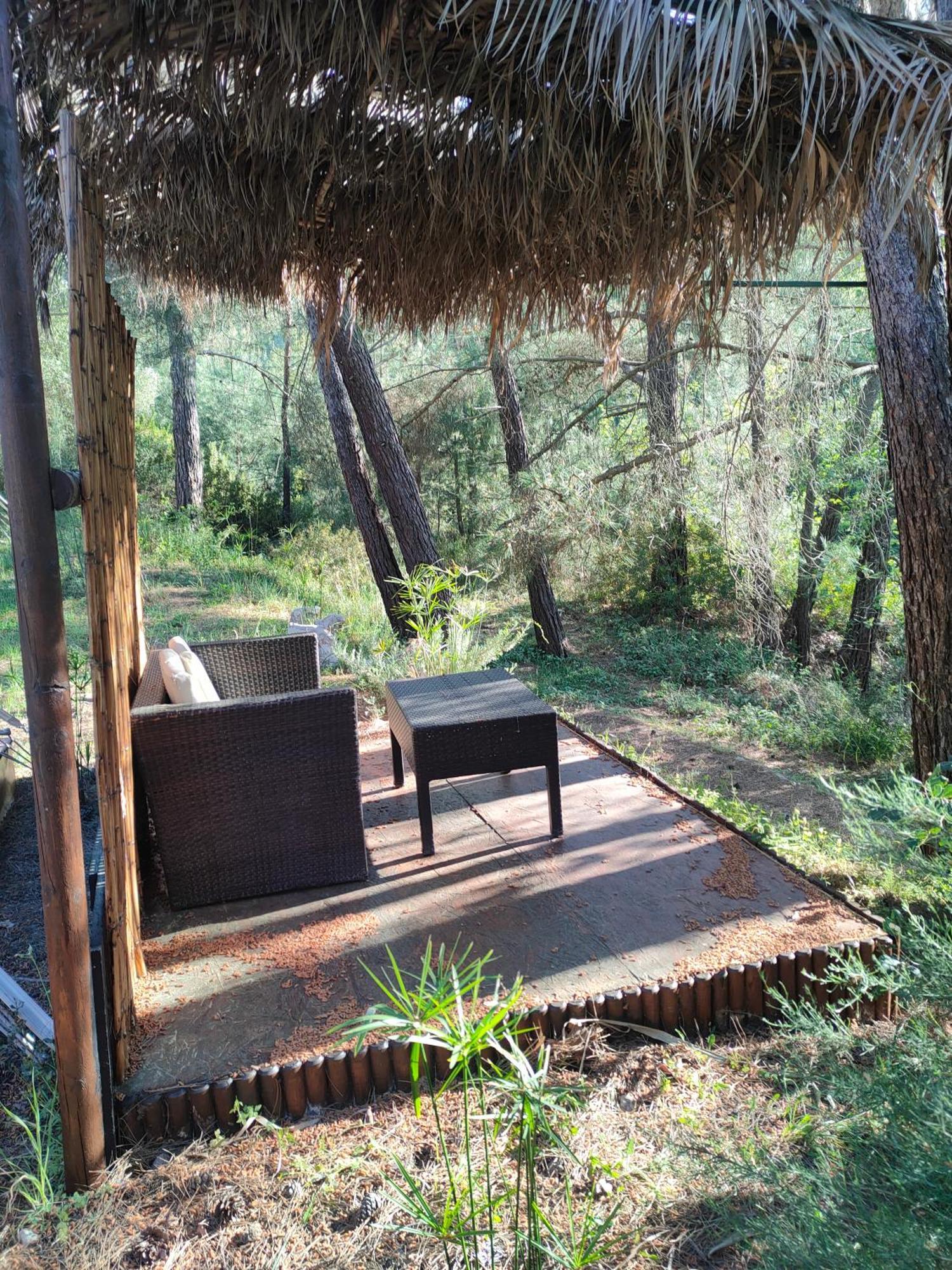 Vinsan Glamping & Wellness Centre Eleousa Exterior foto