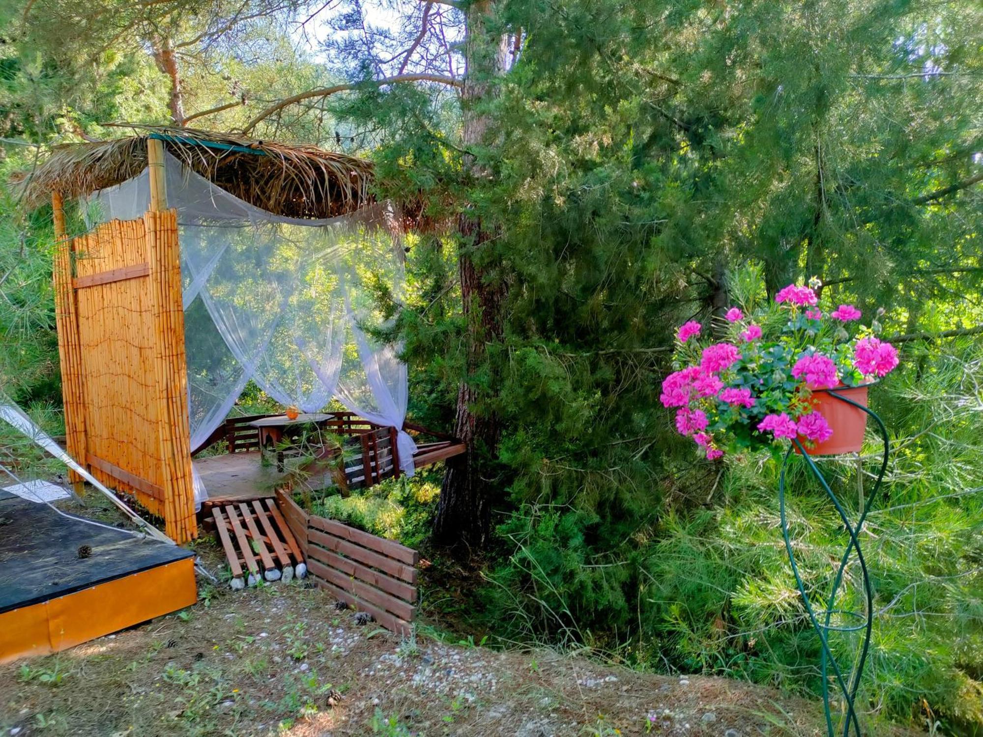 Vinsan Glamping & Wellness Centre Eleousa Exterior foto